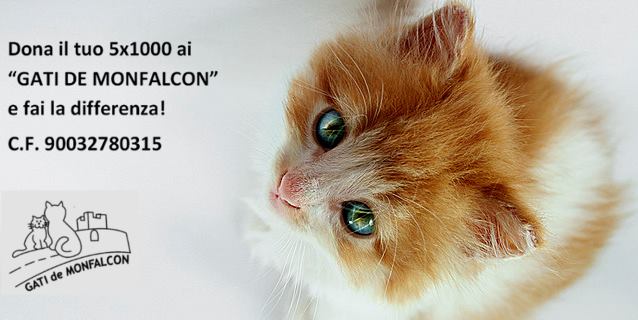 10170766_307171869430746_648795423_n