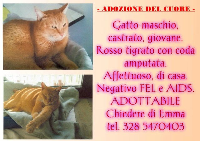 pizap.com14613477118481