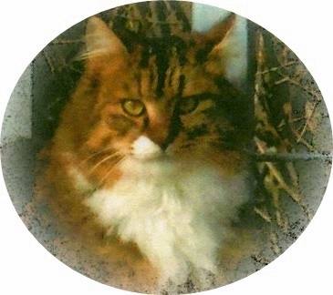 13612183_1204823789550025_4067556481038953345_n