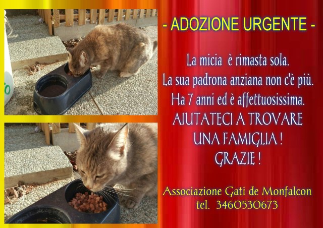 pizap.com14915883735451