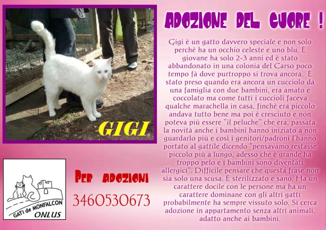 pizap.com14942660190271