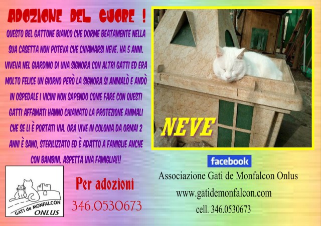 pizap.com14958204187391