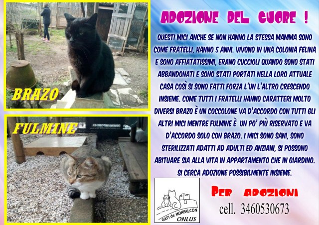 pizap.com14976981922871