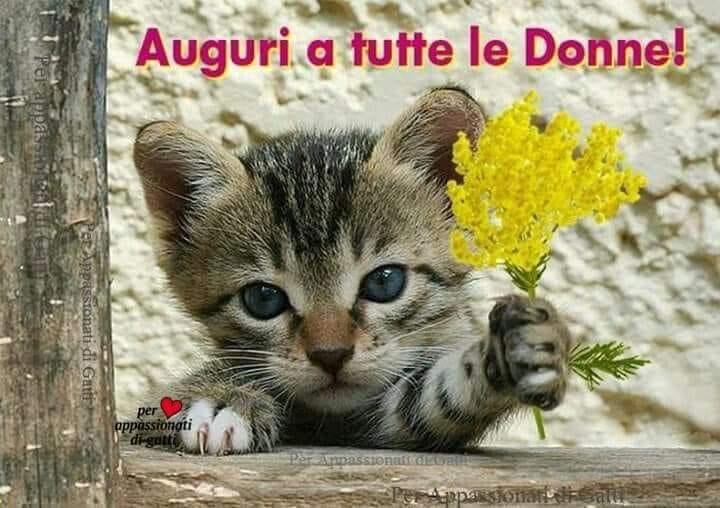 331600354_651926023608623_1772898702159598324_n