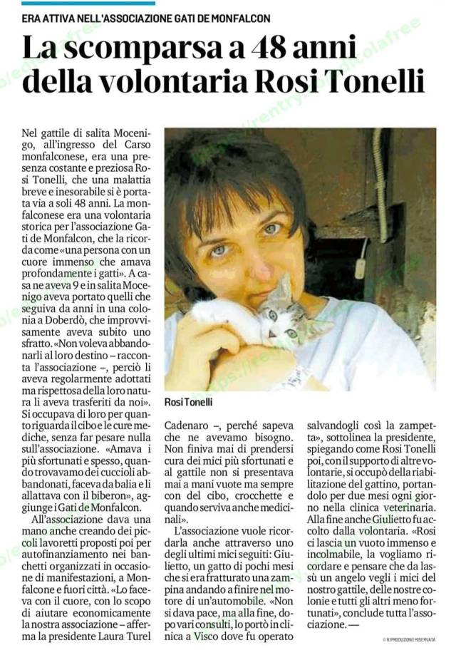 391586020_722107323274339_6321611011902274734_n