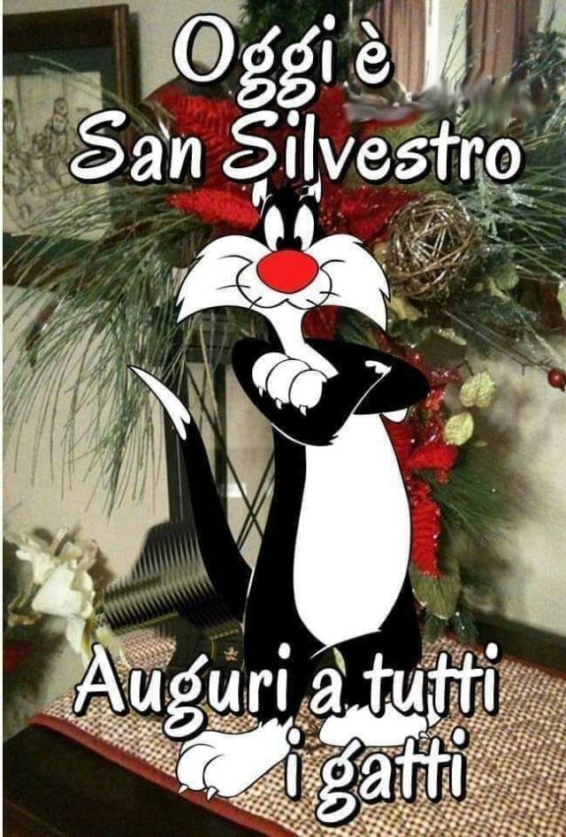 416095015_767416888743382_474931693452811211_n