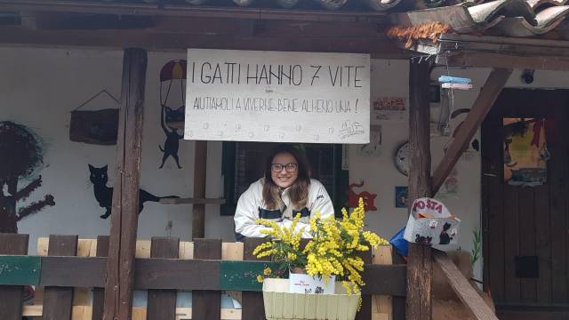 430285015_810840731067664_4599075163936773560_n