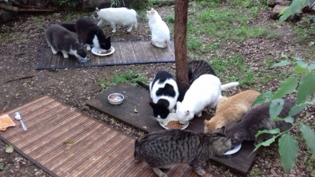 440775455_848343183984085_4204195270627192111_n