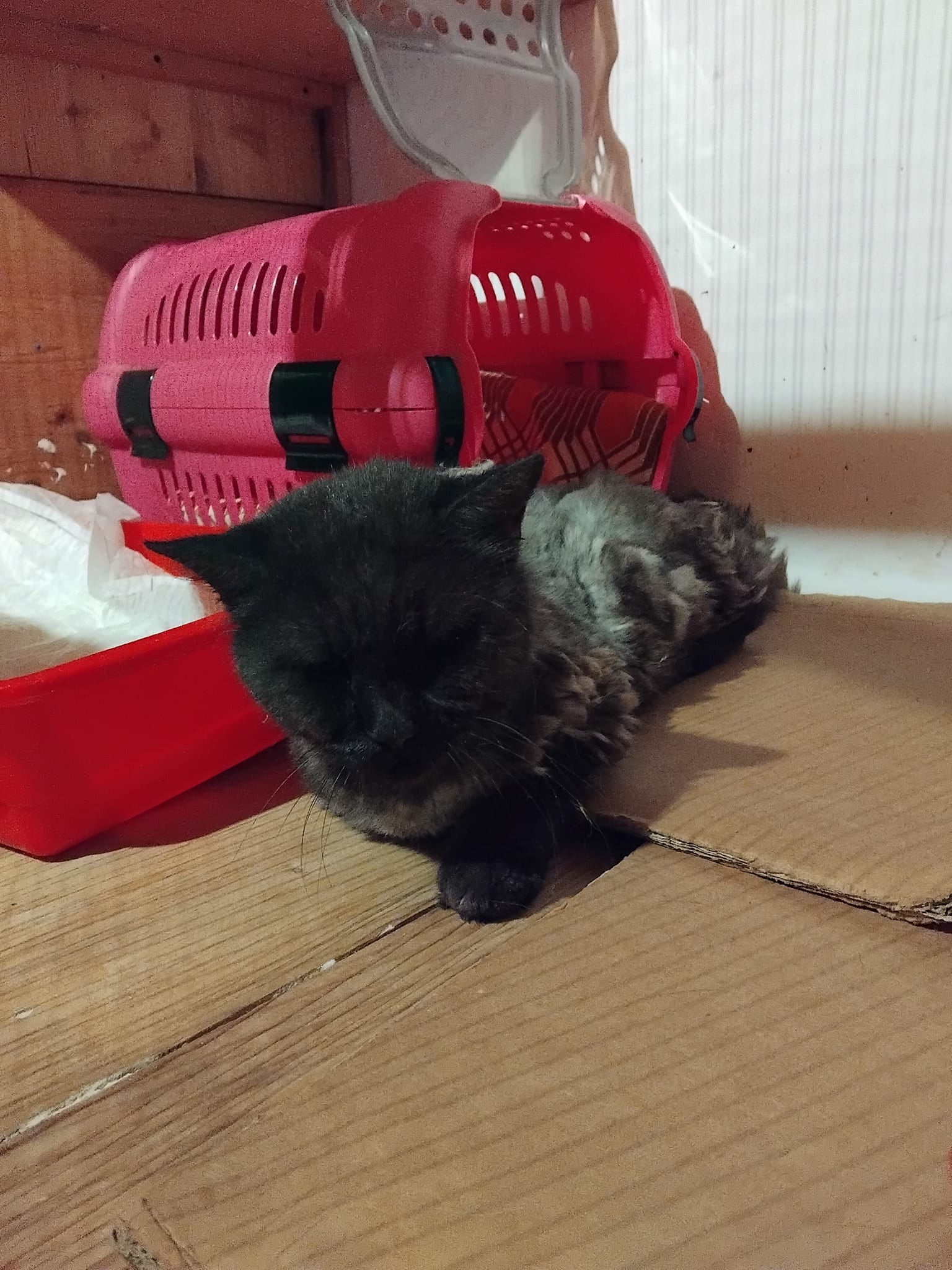 466972584_983660647119004_2778648871264266261_n